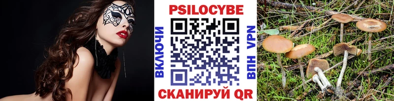 кракен ССЫЛКА закладка Эртиль Псилоцибиновые грибы Magic Shrooms